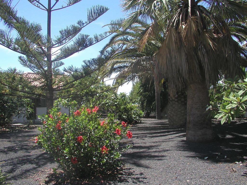 Casa Nerea Villa ตาซากอร์เต ภายนอก รูปภาพ